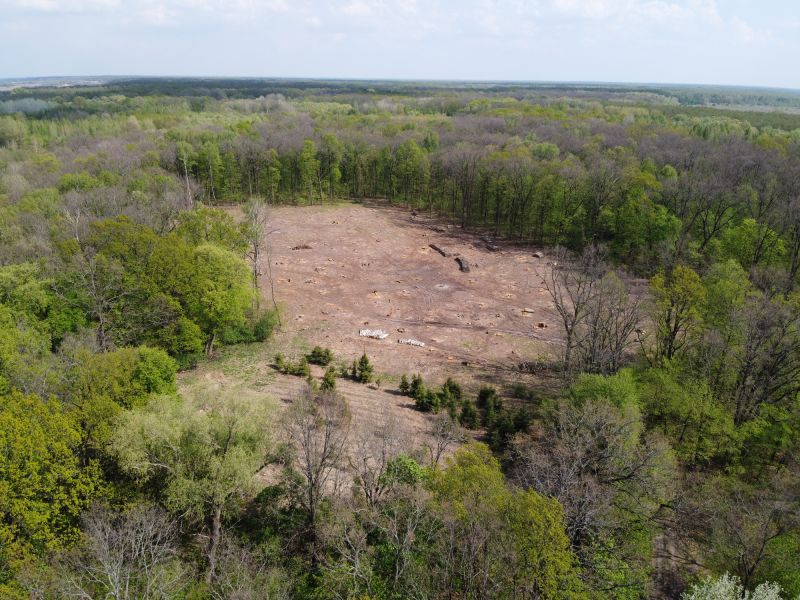Environmental Land Clearing Services