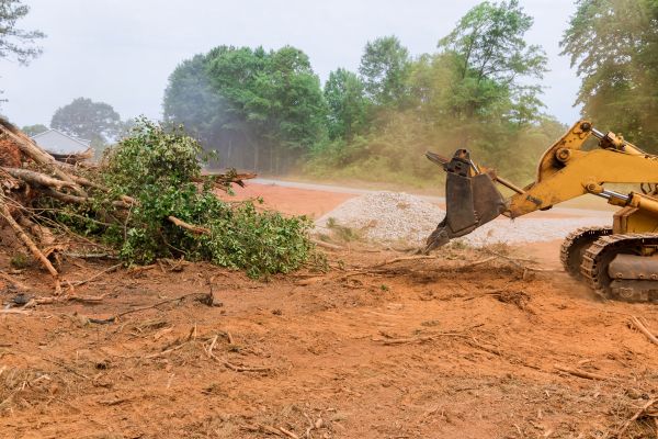 Cost of Ground Clearing in Cedar Park
