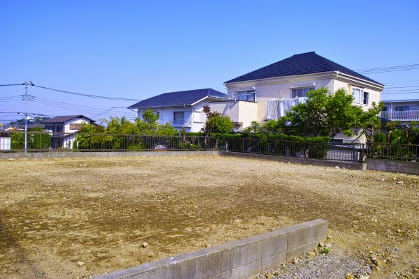 Cost of Lot Clearing Service in Cedar Park