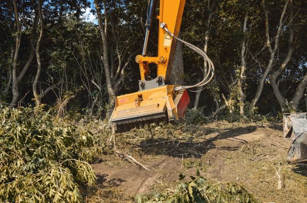 Cost of Brush Removal Service in Cedar Park