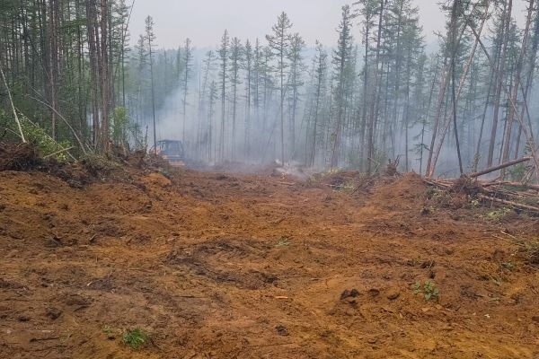 Cost of Hill Clearing in Cedar Park